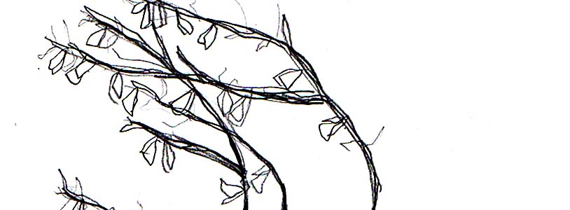 [drawing.20071216.mysolsticeprayertree.crop.jpg]
