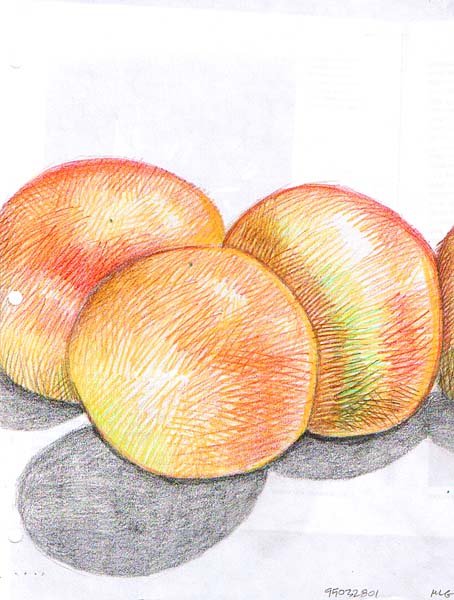 [drawing.grapefruit.1995032801.jpg]