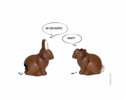 [chocolate+bunny+pictures.jpg]