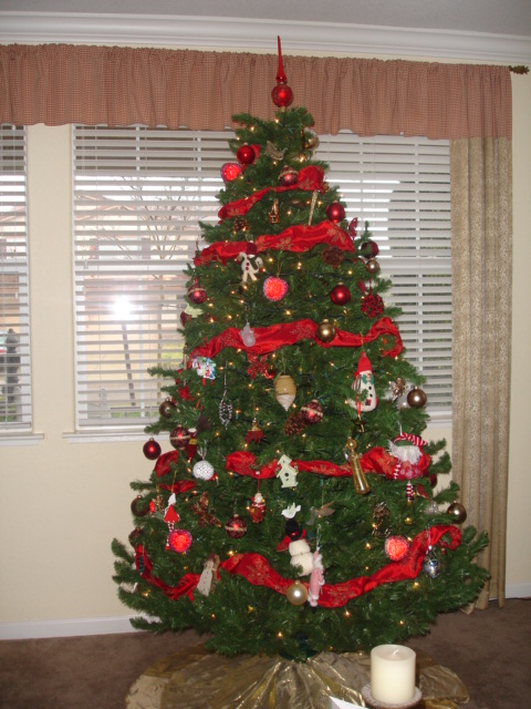[christmas+decorations+2007+024.jpg]