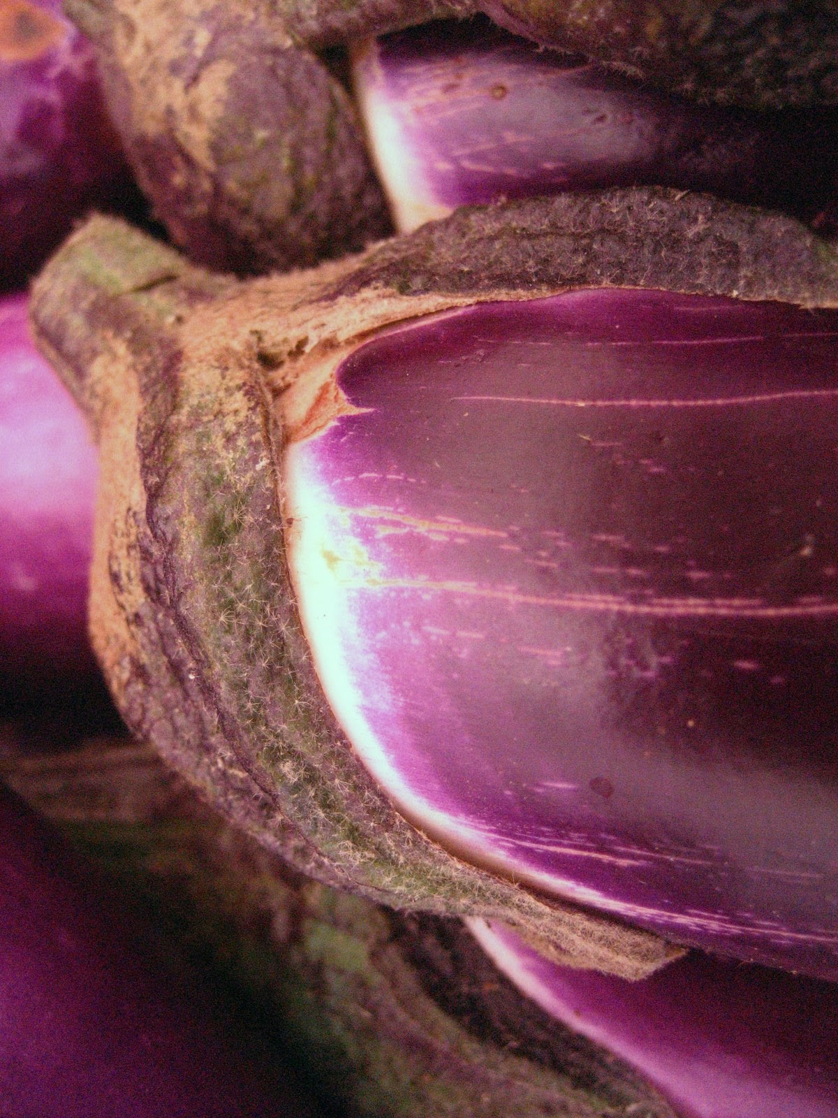 [Beautiful+Hair+for+an+Eggplant.jpg]