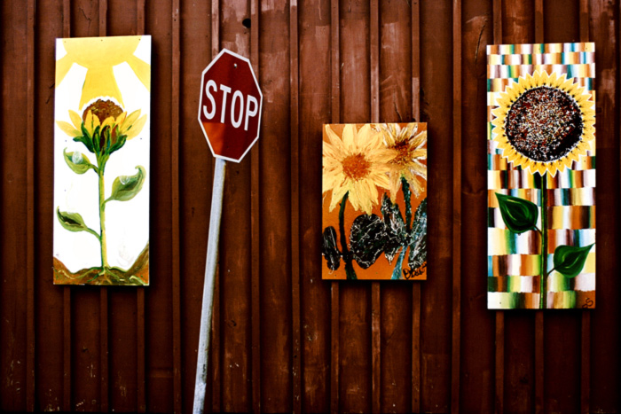 [stop_the_sunflowers.jpg]