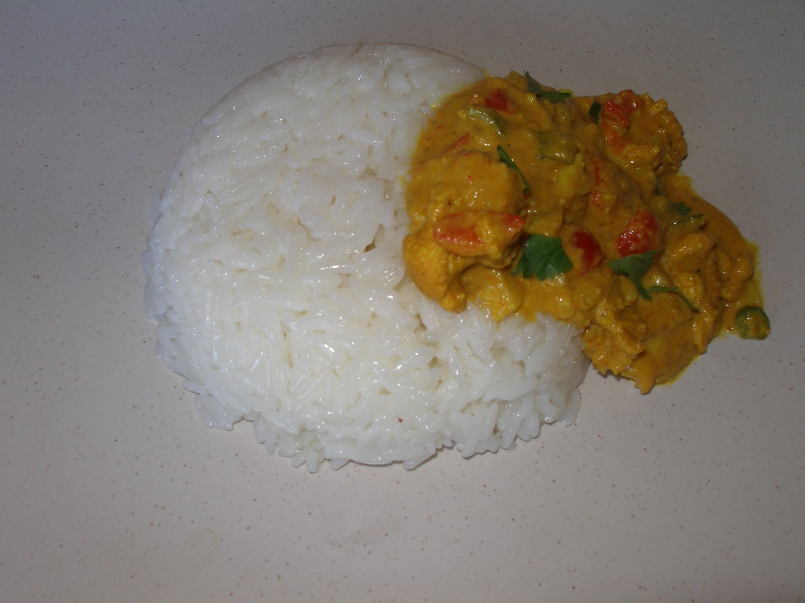 [thai+yellow+chk+curry+rice.JPG]