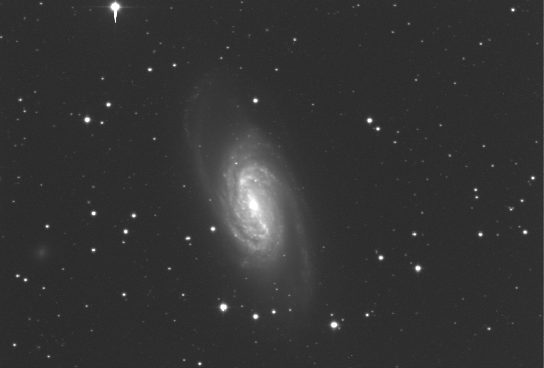 [Img_NGC2903.JPG]