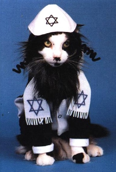 [Kosher.Kitty.jpg]