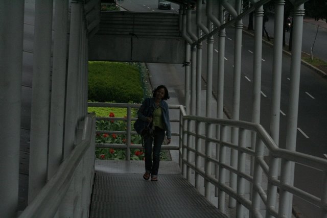 [jembatan+busway.JPG]