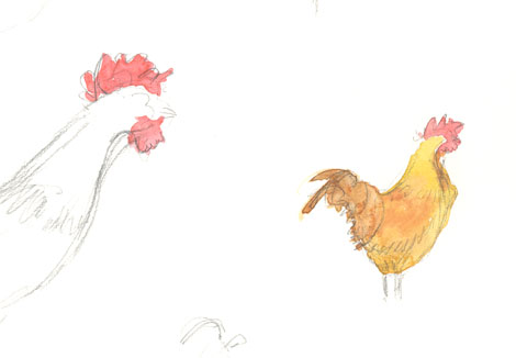 [rooster+sketch.jpg]