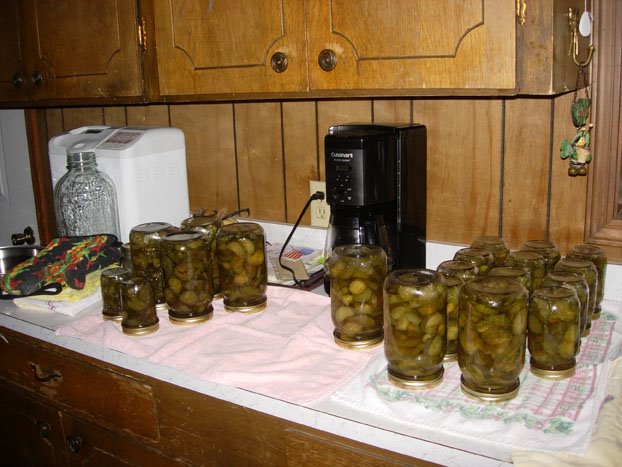 [pickles+in+jars.jpg]