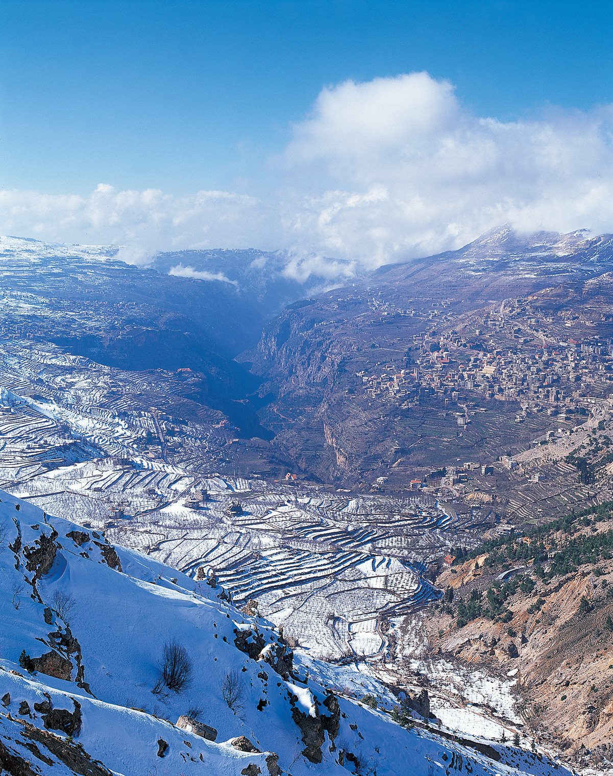 [Lebanon+snow.jpg]