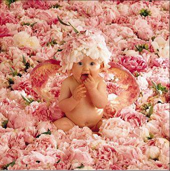 [baby+and+roses.jpg]