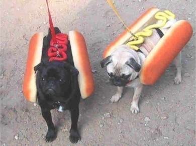 [hotdogs.bmp]