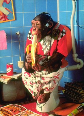 [scimmia_banana.jpg]