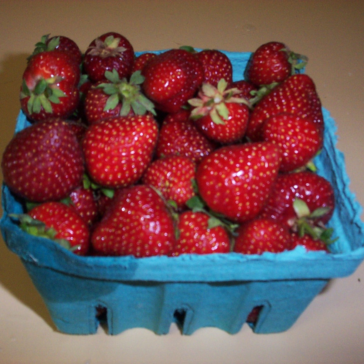 [11+Week+2+-+Strawberries.JPG]