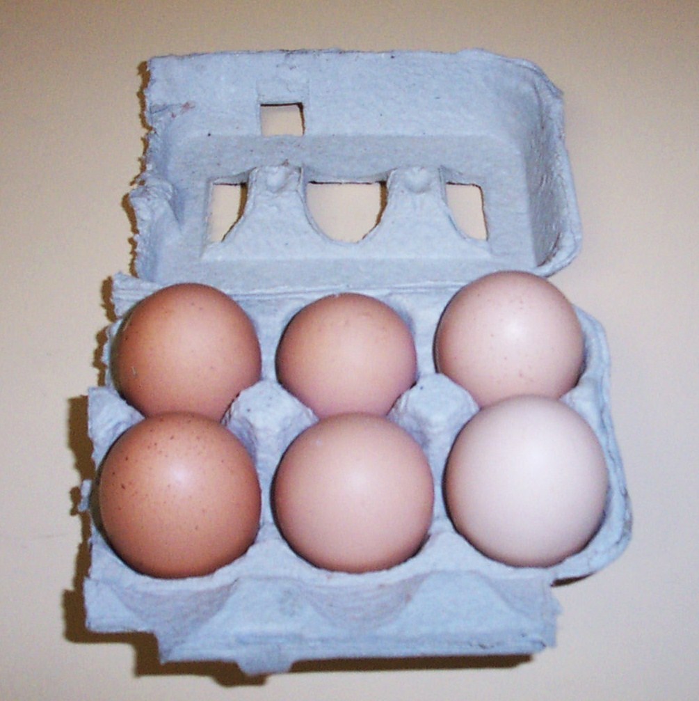 [10+Week+2+-+Organic+Eggs.JPG]