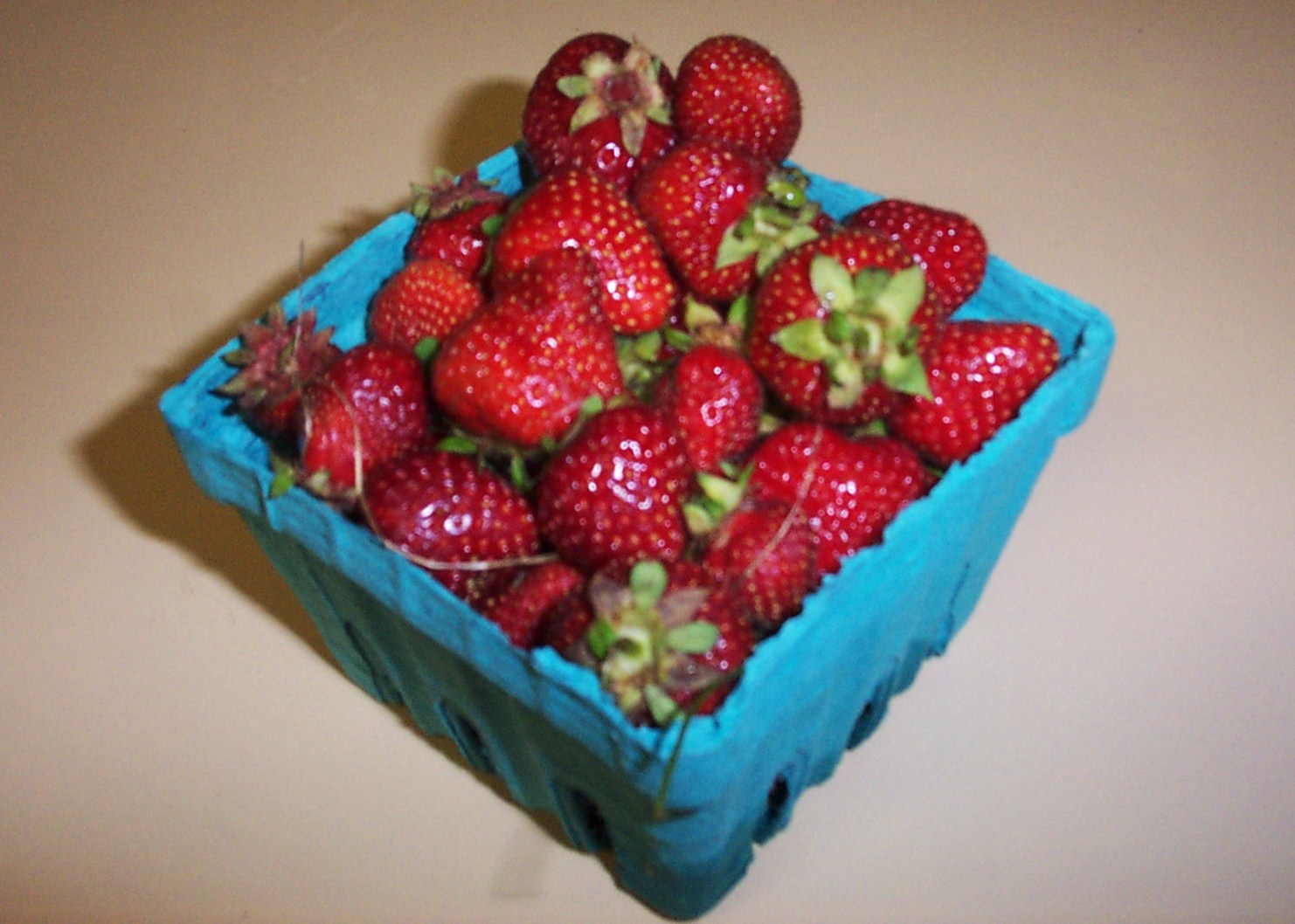 [09+Week+5+-+Strawberries.JPG]