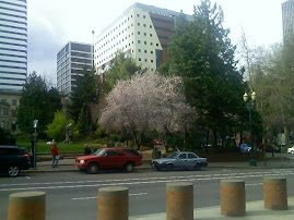 spring in downtown portland