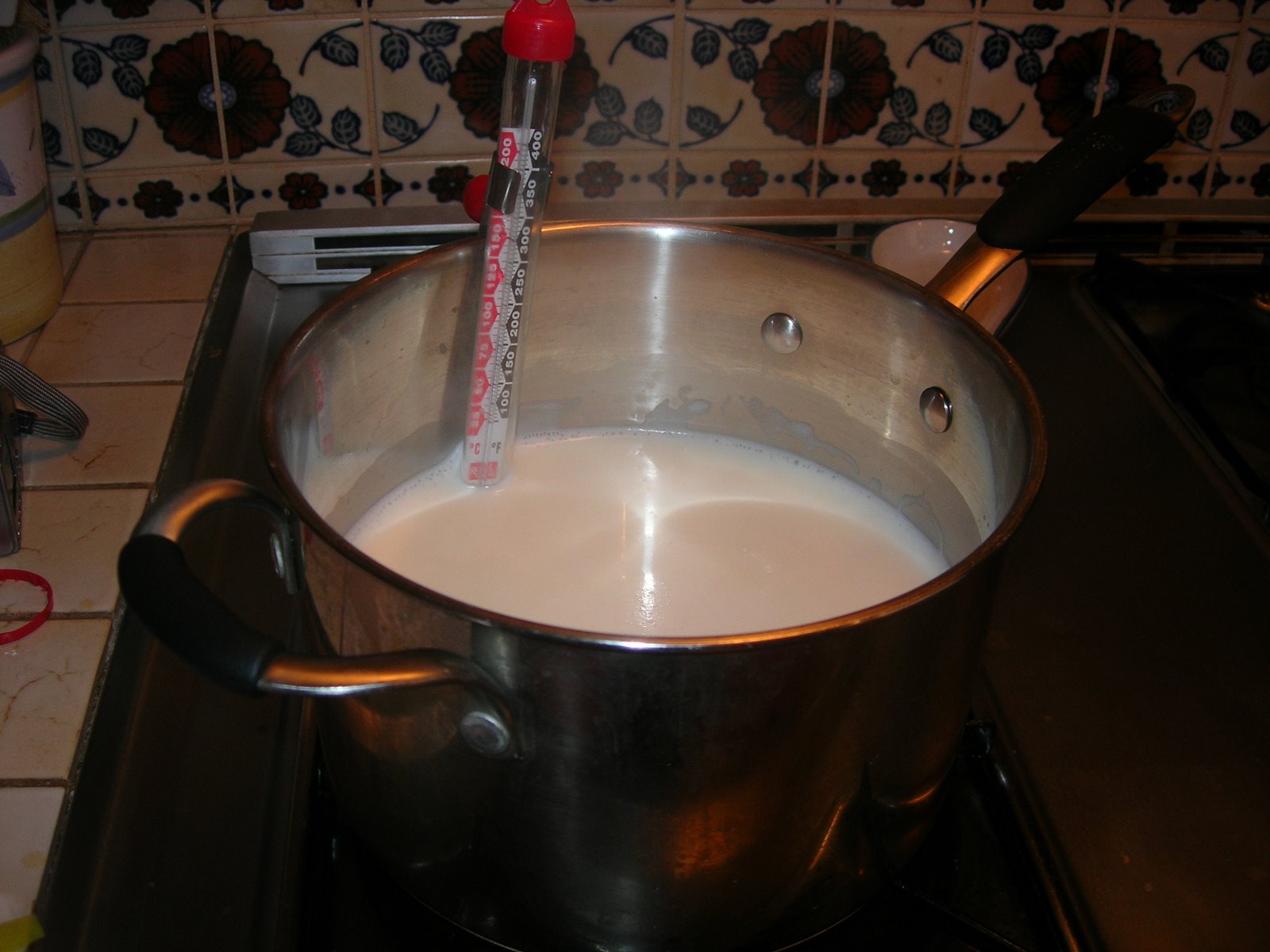 [making+yogurt+002.jpg]