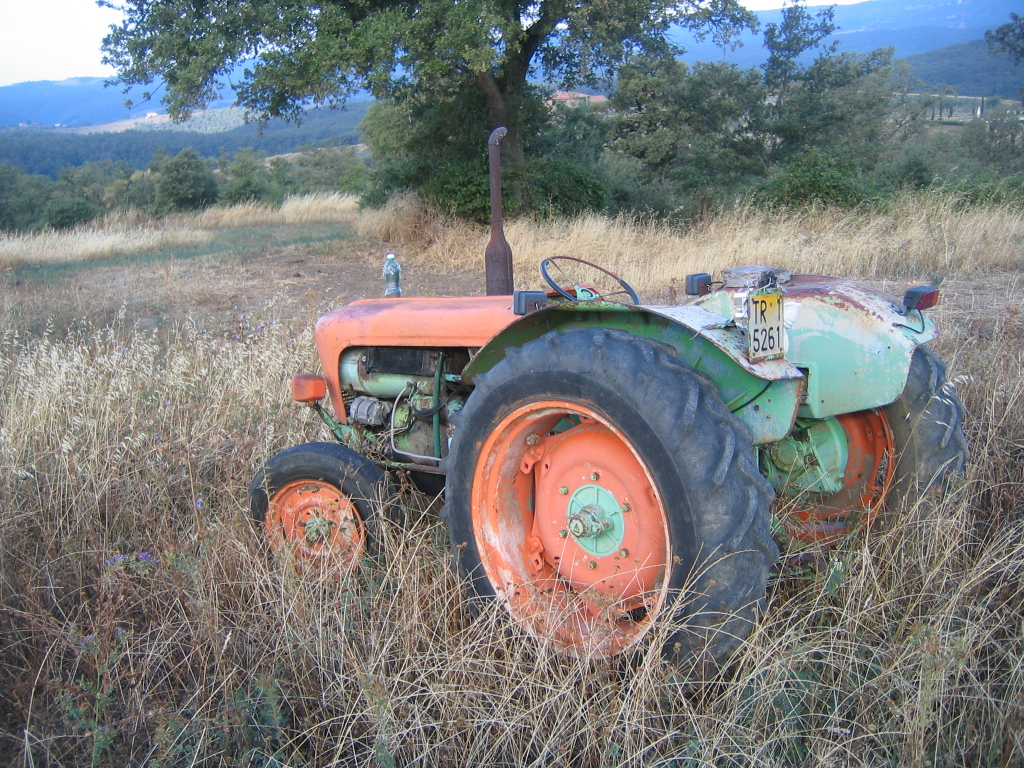 [cool+old+italian+tractor.JPG]