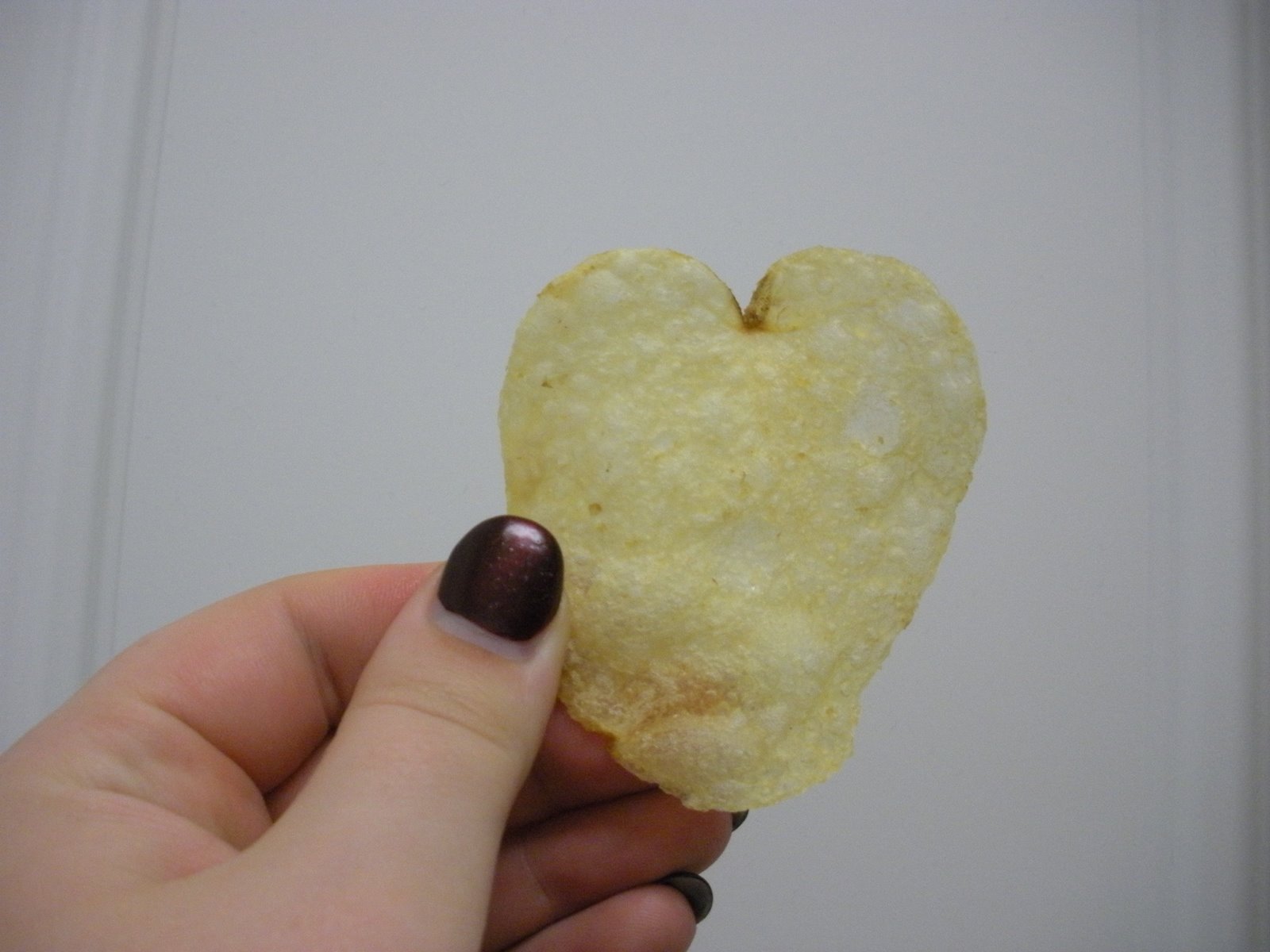 [heart+chip.JPG]
