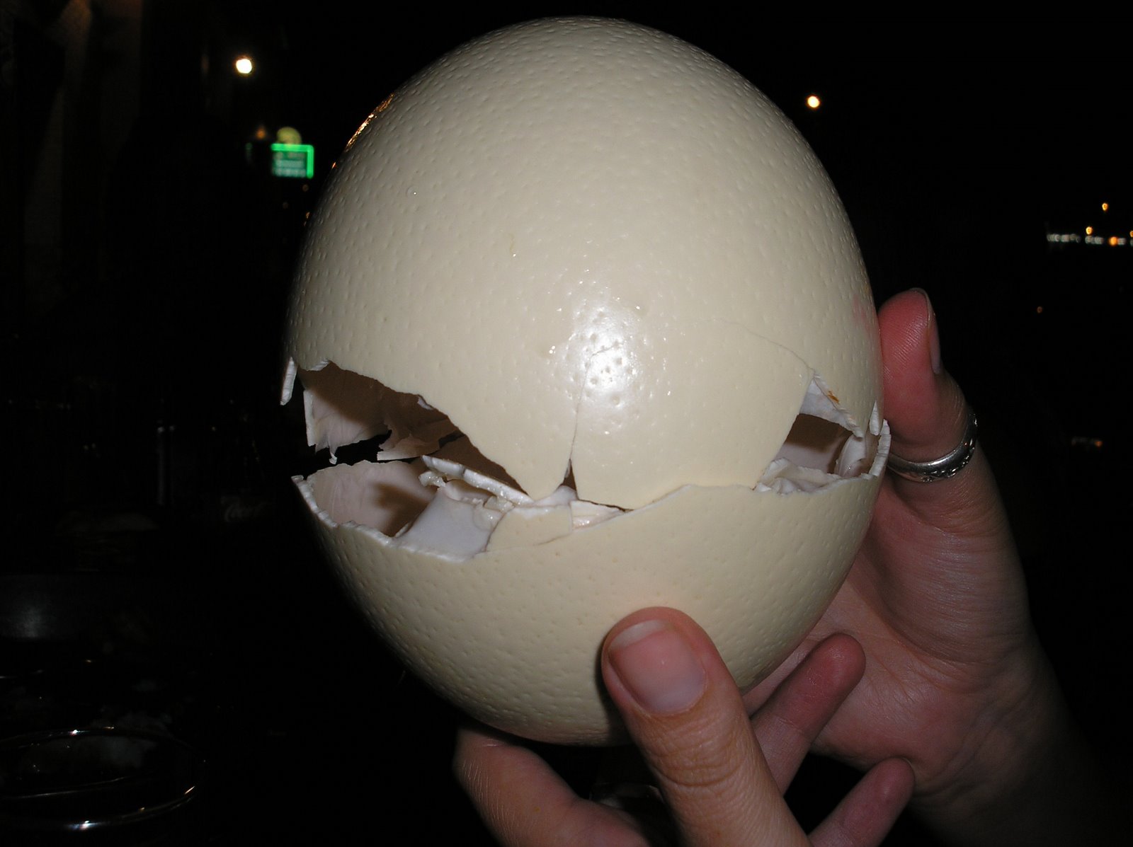 [Huevo+avestruz+015.JPG]