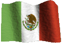 [mexican-flag.gif]