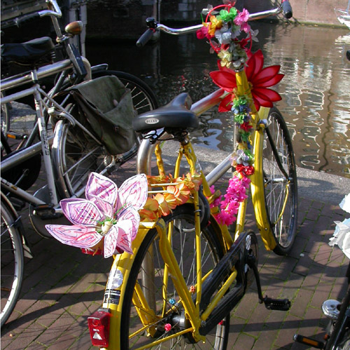 [flower+bike.jpg]