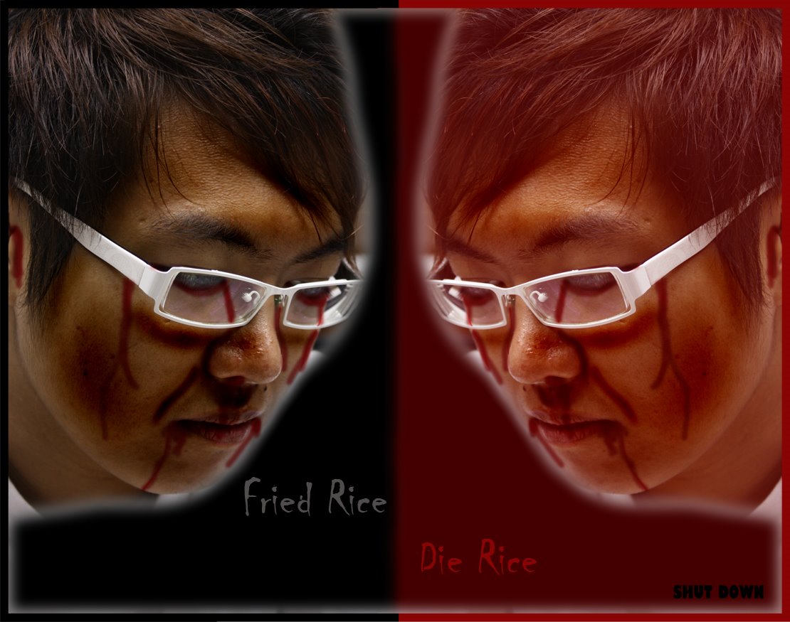 [die+rice.jpg]