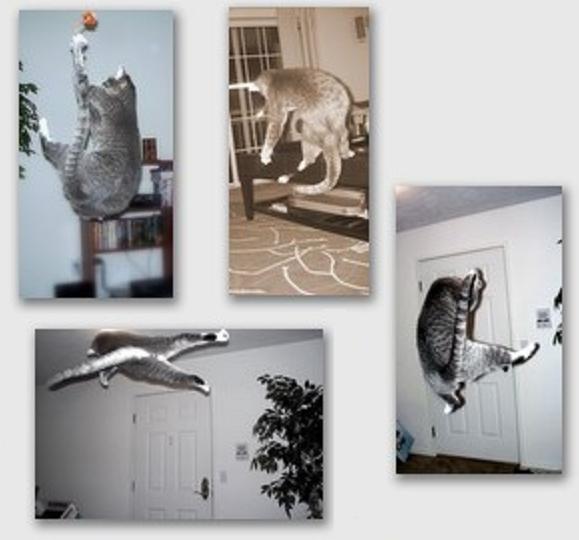 [Pippin+Jump+Collage.JPG]