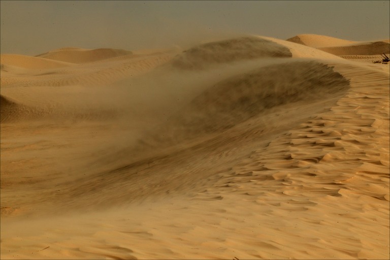 [sandstorm-sahara-desert.jpg]