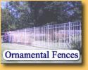 [Ornamental+Fence+1.jpg]