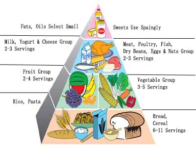 The+healthy+diet+pyramid