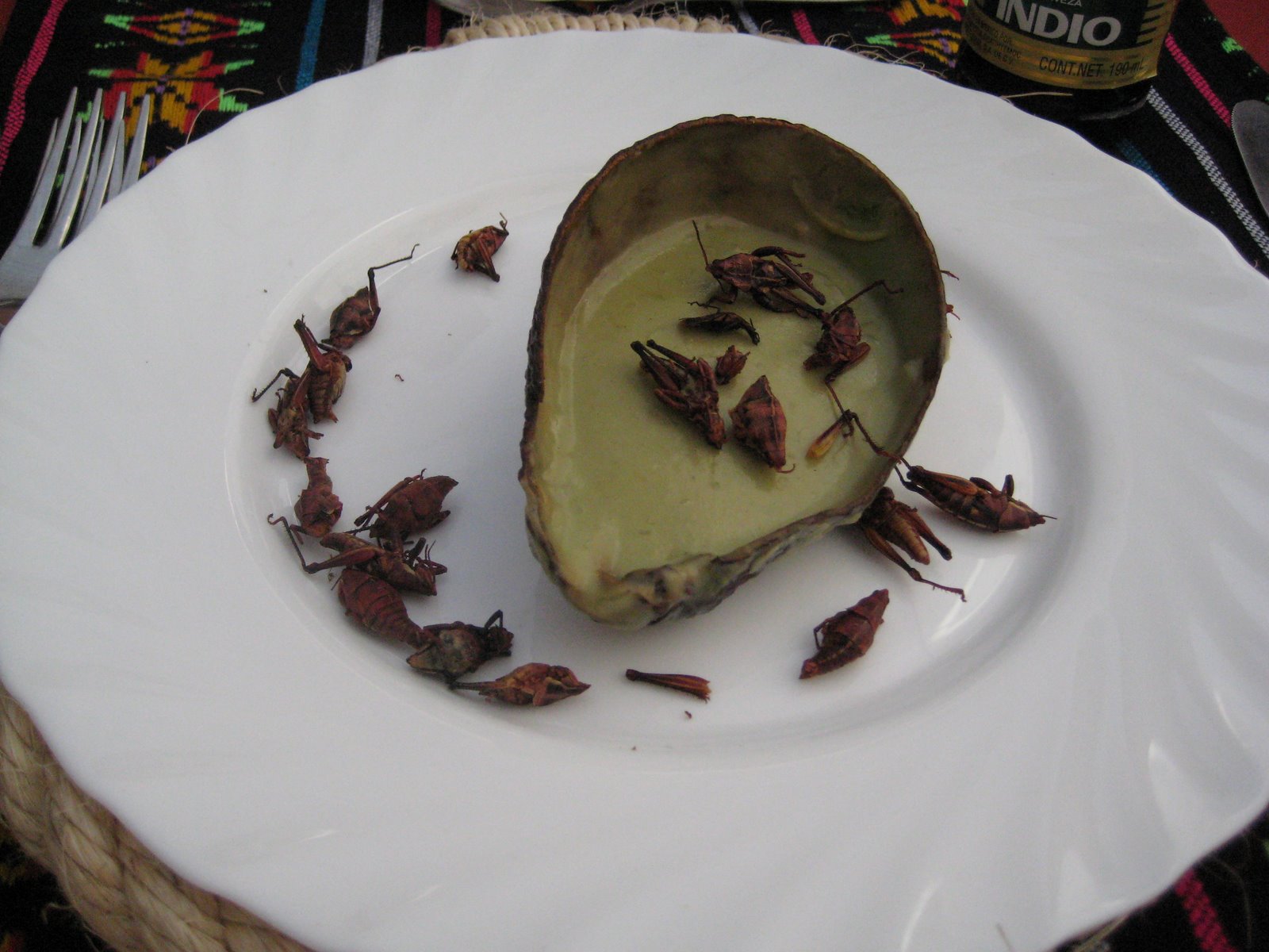 [avocado+mousse+with+roasted+grasshoppers.jpg]