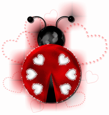 [ladybug+ani.gif]
