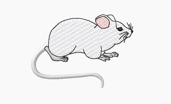 [mouse.gif]