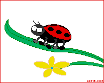 [arg-ladybug-brdr-207x165-url.gif]