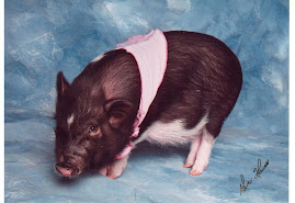 Ashley"s Pig