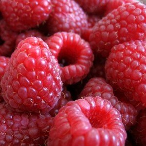 [raspberries.jpg]