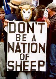 [nation-of-sheep.jpg]