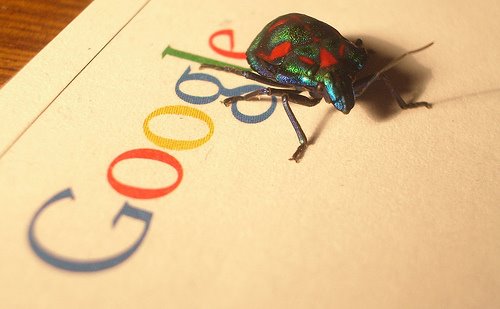 [google+bug.jpg]