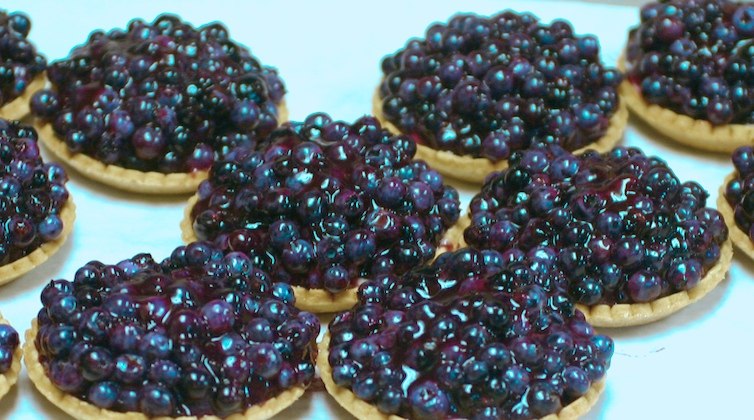 [blueberry+tarts.jpg]