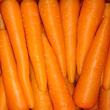 [Fresh_Carrots.jpg]