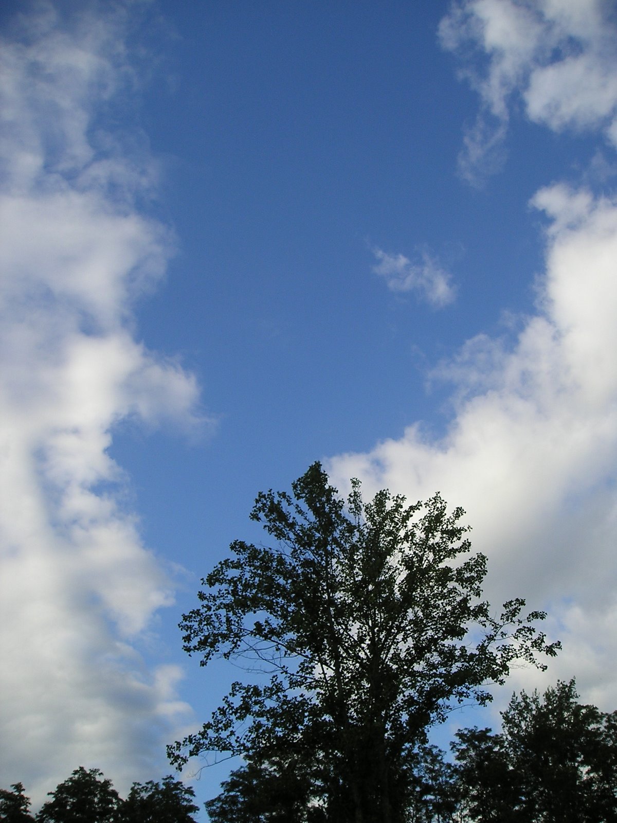 [Blue+Skies+6-2008+004.jpg]