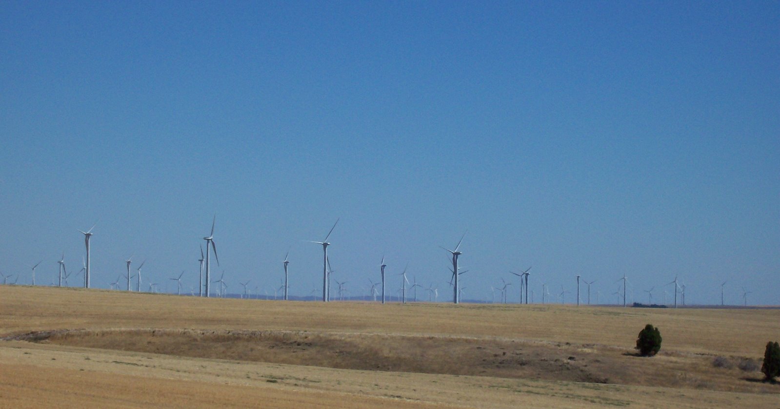 [wind+turbines.jpg]