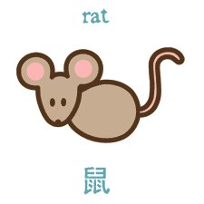 [rat_detail.bmp]