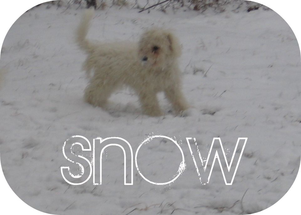 [snow_play.jpg]