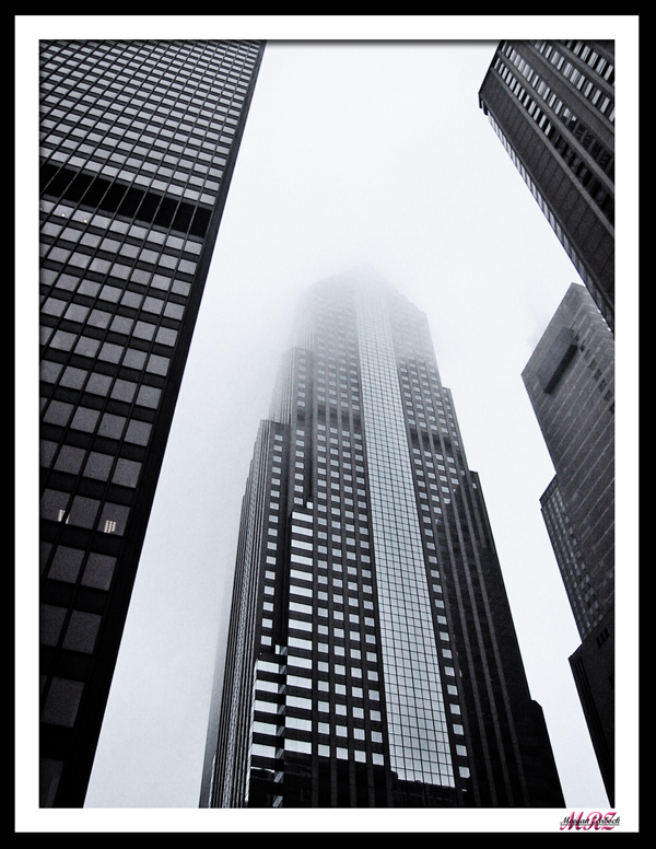 [skyscraper+fog+chicago.jpg]