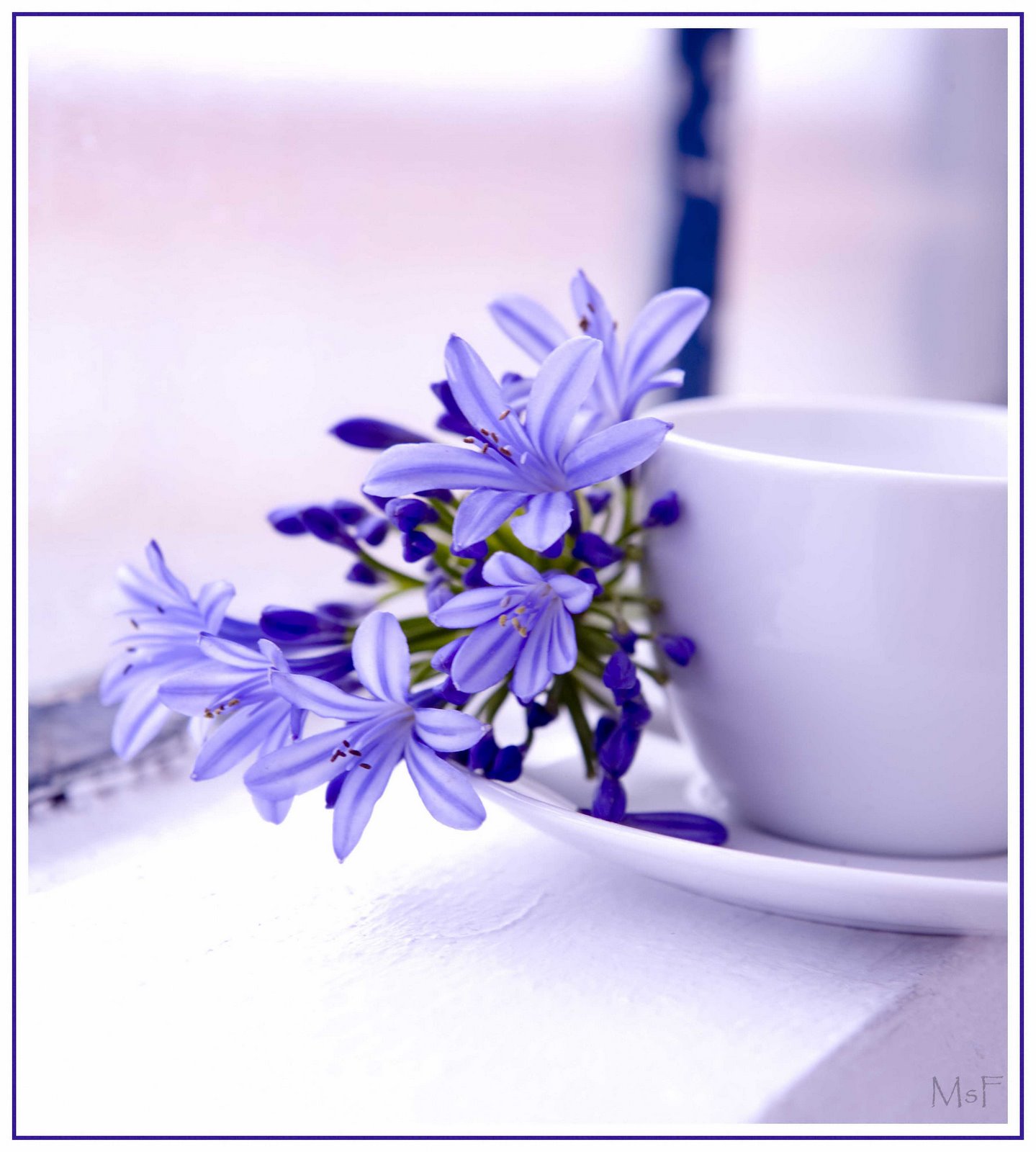 [Flower_teacup.jpg]