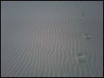 [footprints+in+the+sand.jpg]