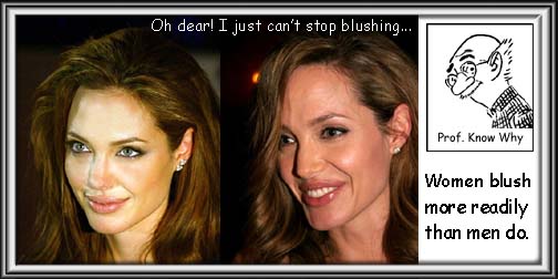 [A+shy+blushing+Angelina+Jolie.jpg]