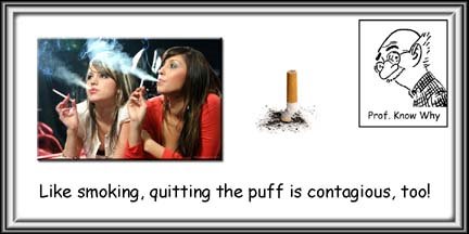 [Quit+smoking.jpg]